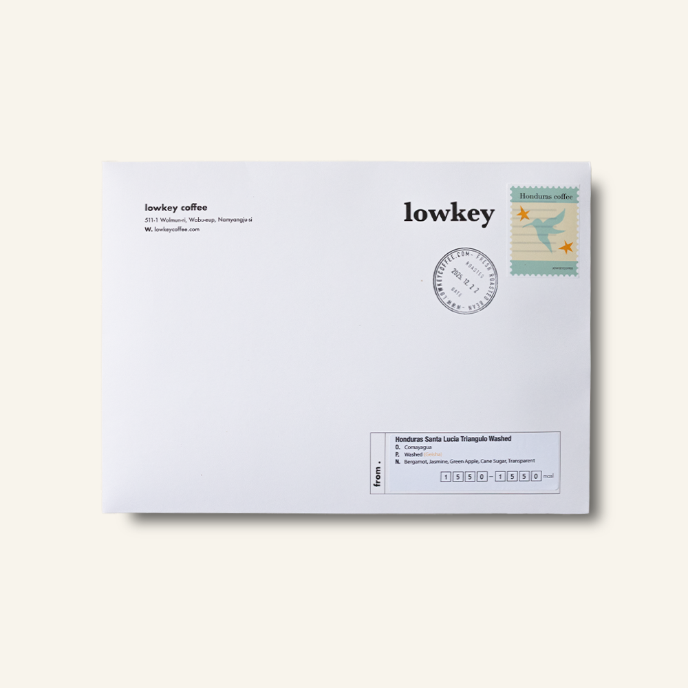 (12월의 커피) 온두라스 산타루시아 트리앵글로 워시드